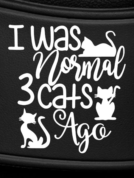 Proud Cat Owner