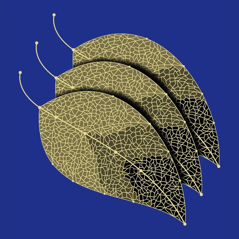 Feuilles décoratives