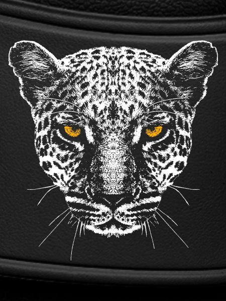 Leopard / Head / Eyes