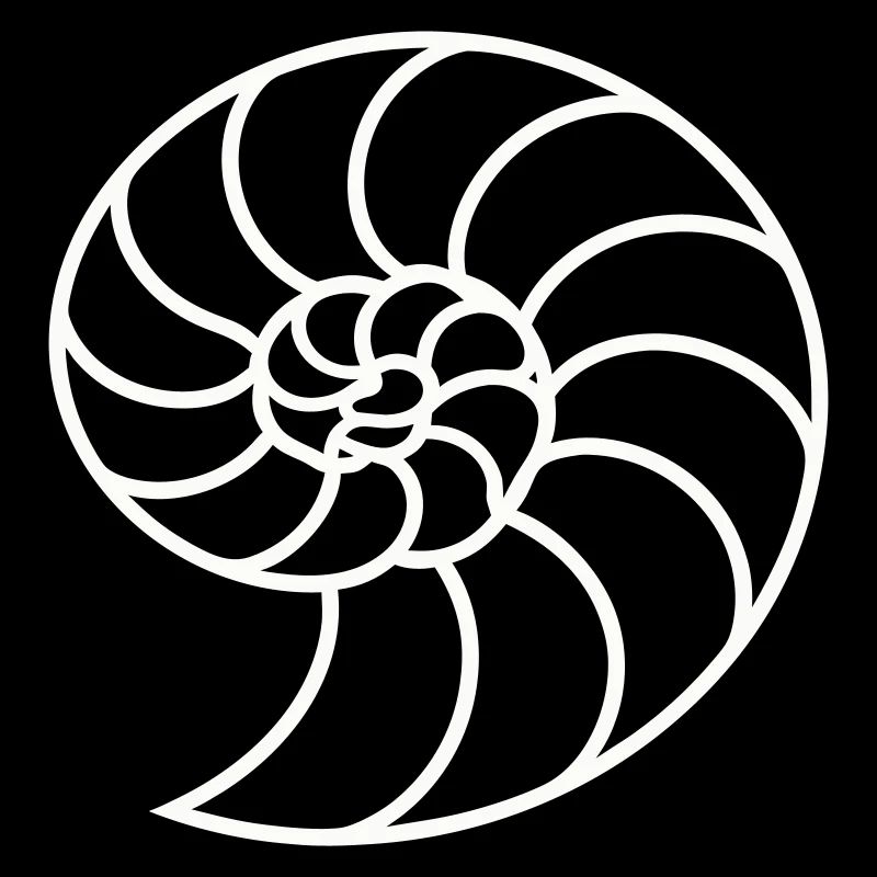 Spirale Nautile Blanche