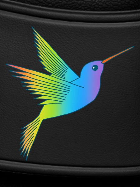 Rainbow bird