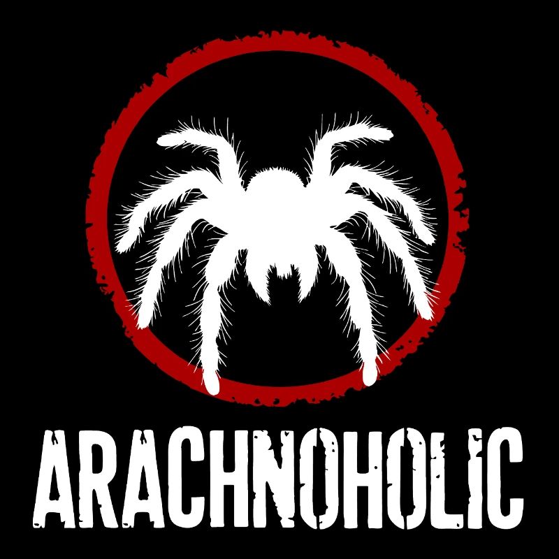 Arachnoholic big hairy tarantula silhouette