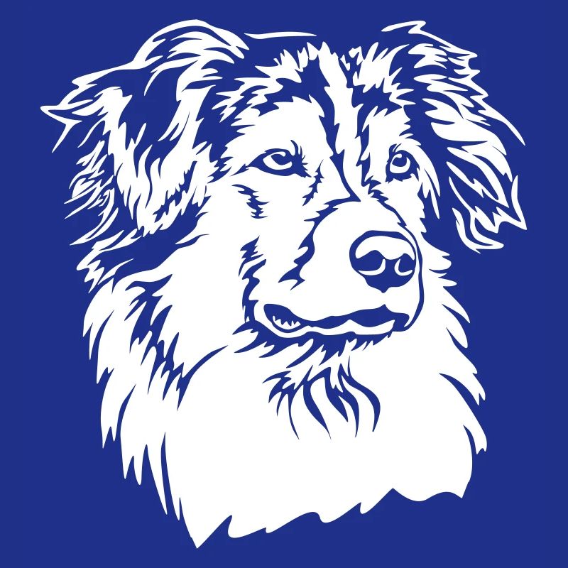 Australian Shepherd Kopf "Black Edition"