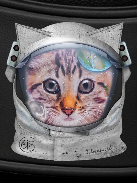 Chat dans l’espace