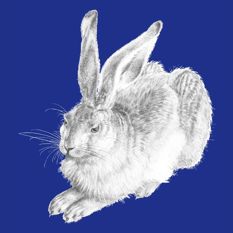 WHITE RABBIT | Snow Hare after Albrecht Dürer