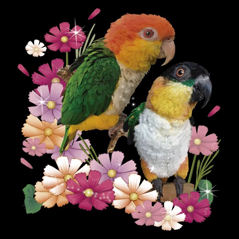 Der orangeköpfige Caique