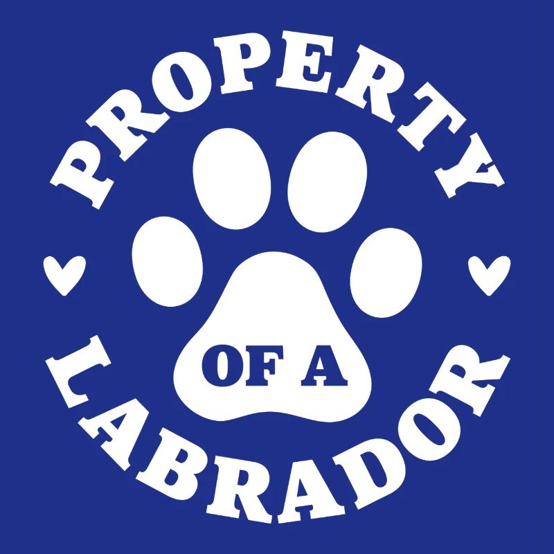 Eigentum eines Labradors