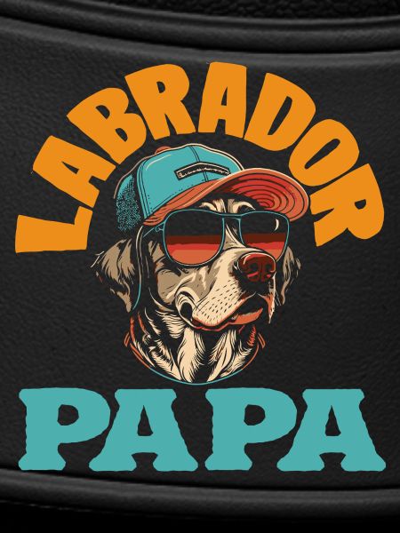 Labrador Tricks
