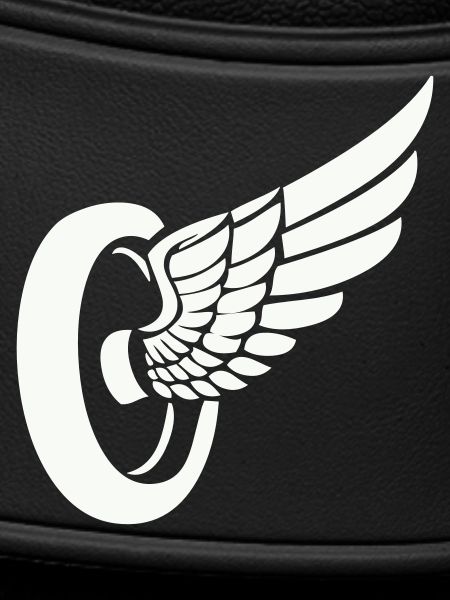 Tire Wings