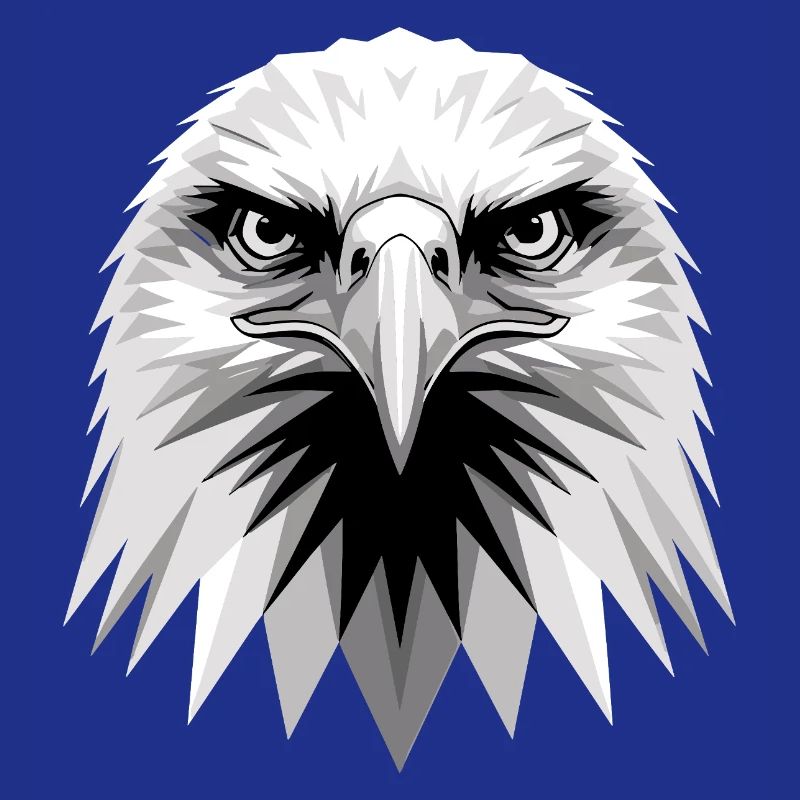 Aigle Pygargue à tête blanche Aigle royal Pygargue à queue blanche