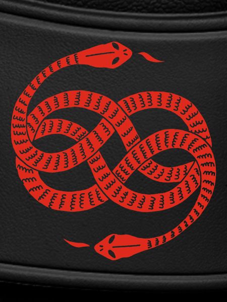 Infinite Red Snakes