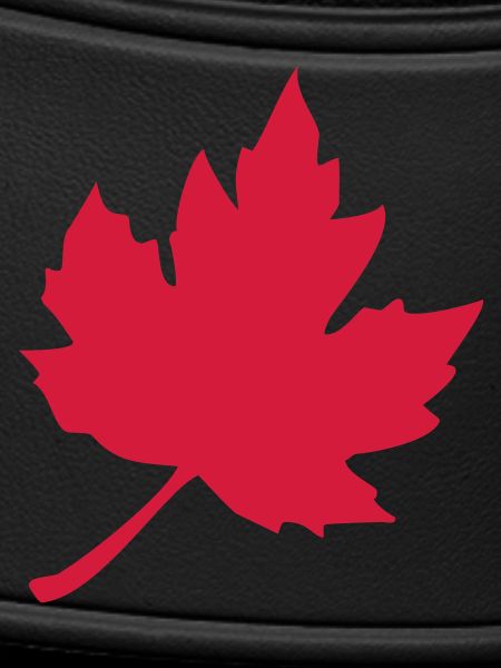 feuilles d'érable