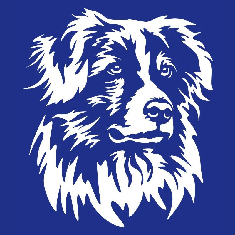 Australian Shepherd Kopf "Black Edition"