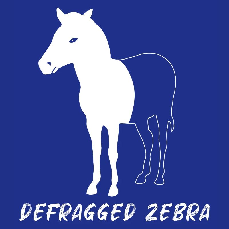 Defragged Zebra Admin Geek Programmierer Geschenk