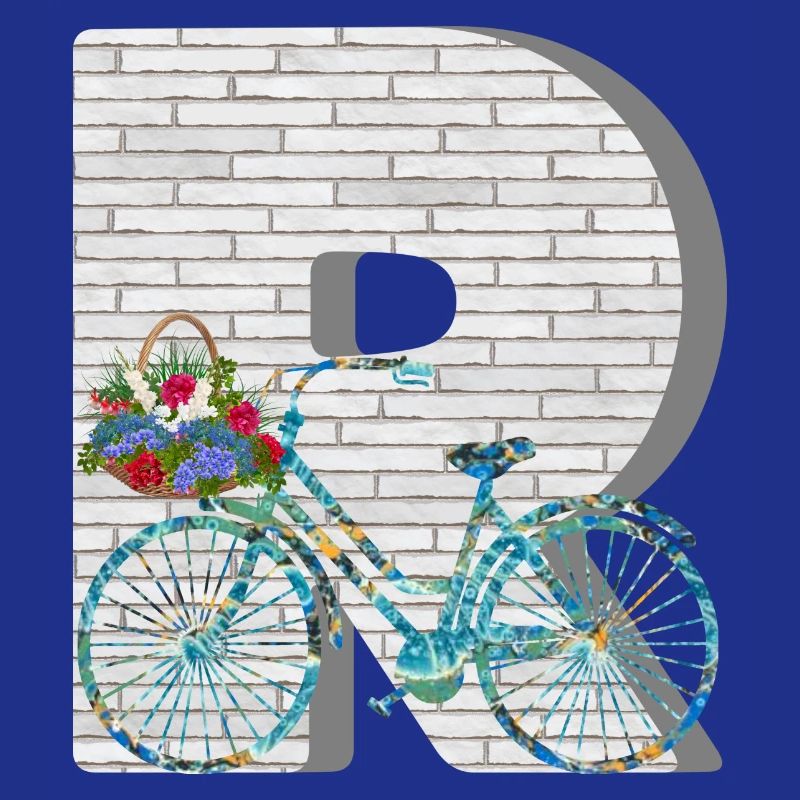 bicycle e 100 r