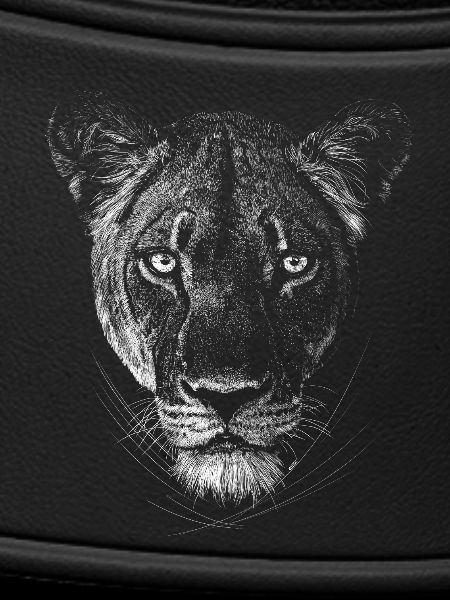 Lioness