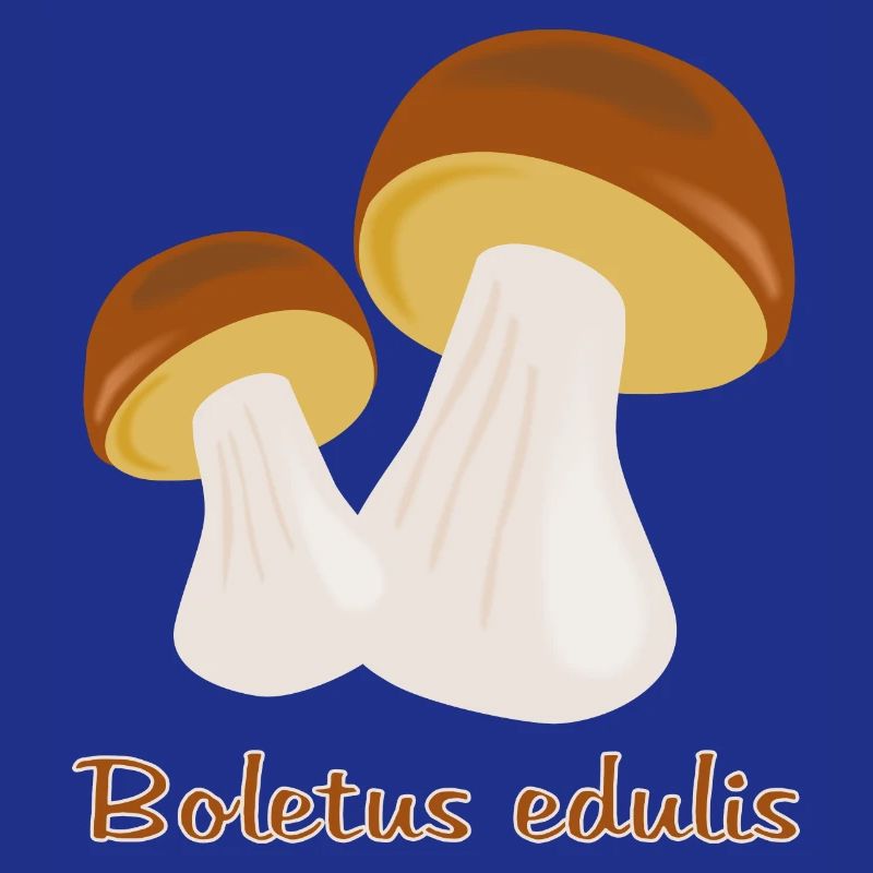 Autumn Mushrooms