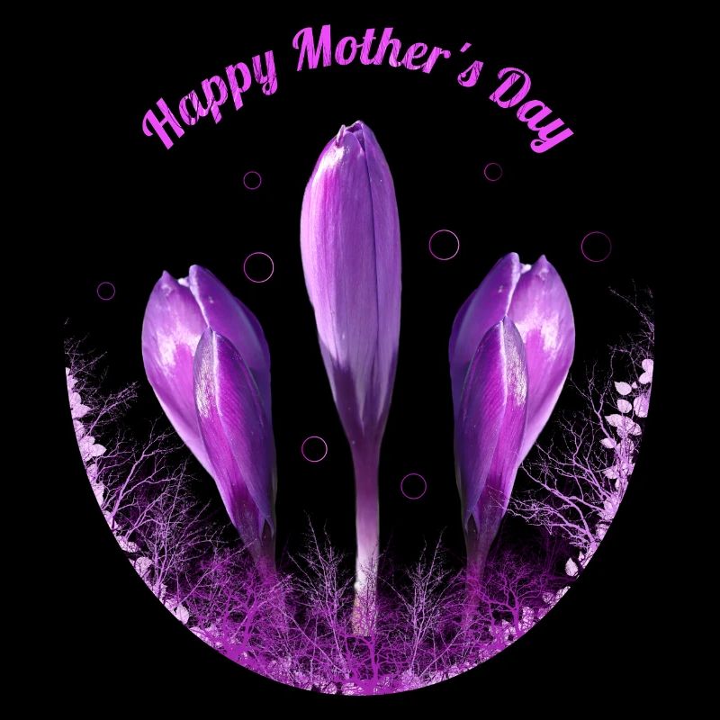 Crocuses Mother's Day
