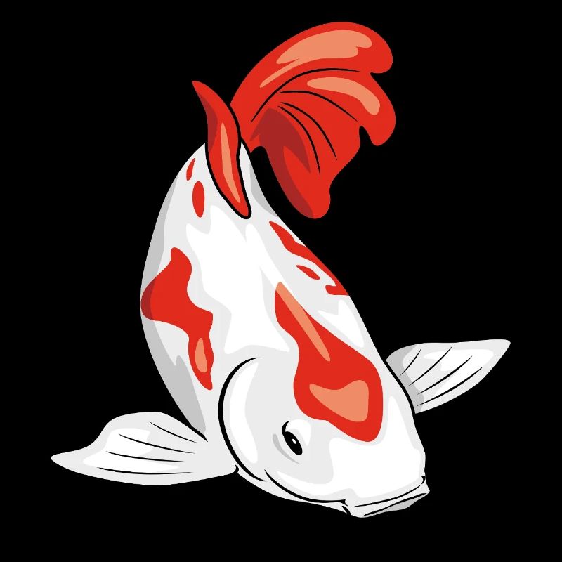 Koi fish