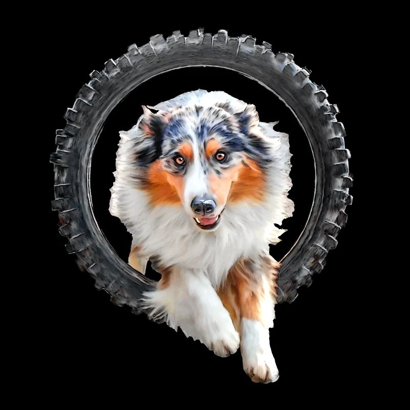 Australian Shepherd Agility