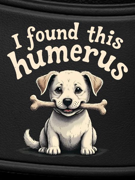 I found this humerus