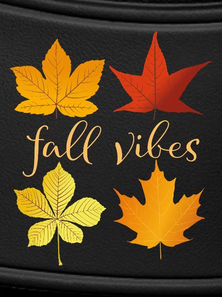Fall Vibes