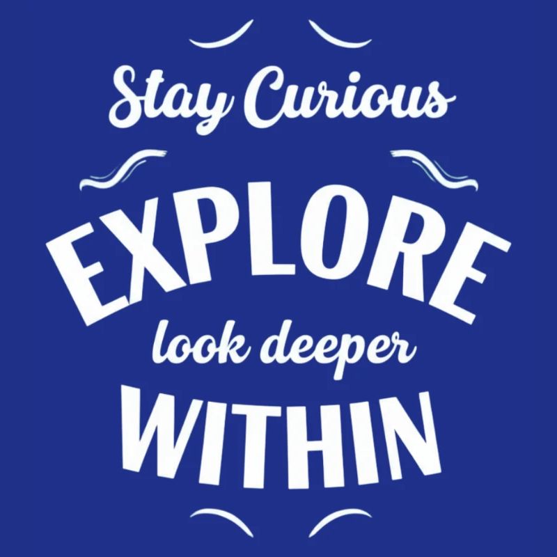 Explore Interior Stay Curious