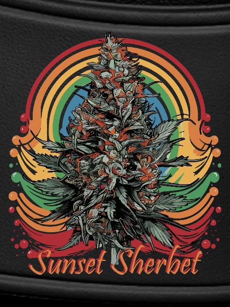 Sunset Sherbet