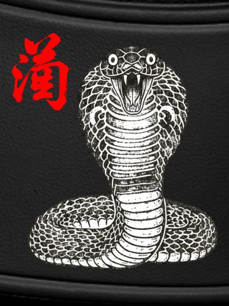 Cobra Asian