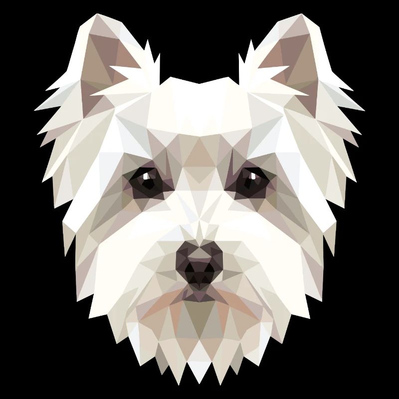 Petit chien maltais aime le doux maltais