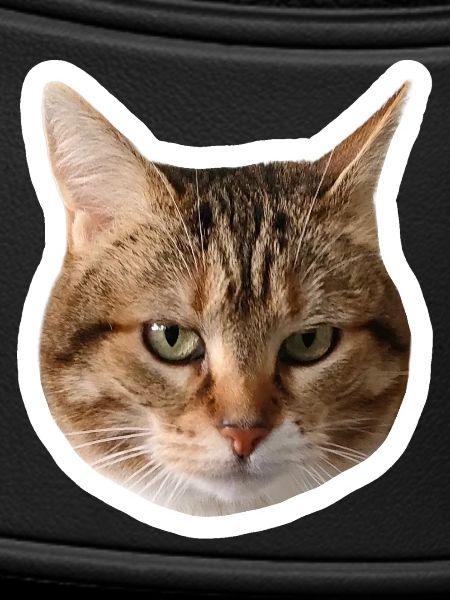 Missty Sad Decal