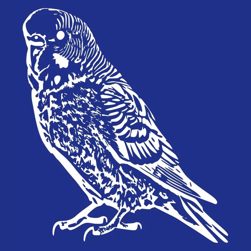 Budgie Bird white