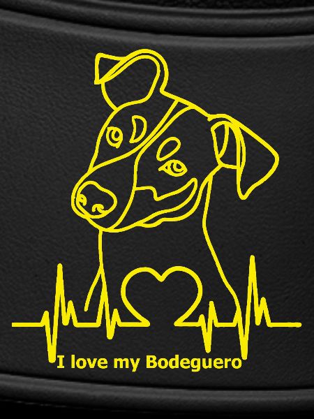 Bodeguero with heartbeat