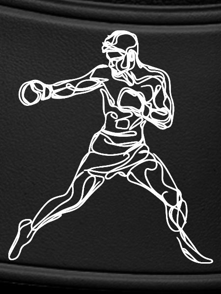 Boxer Grafik