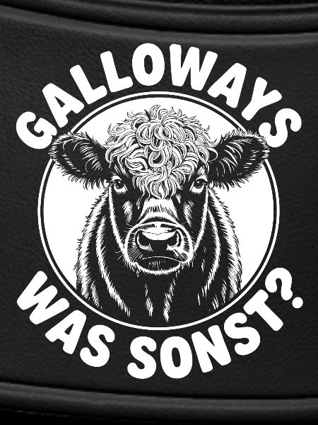 Galloway beef
