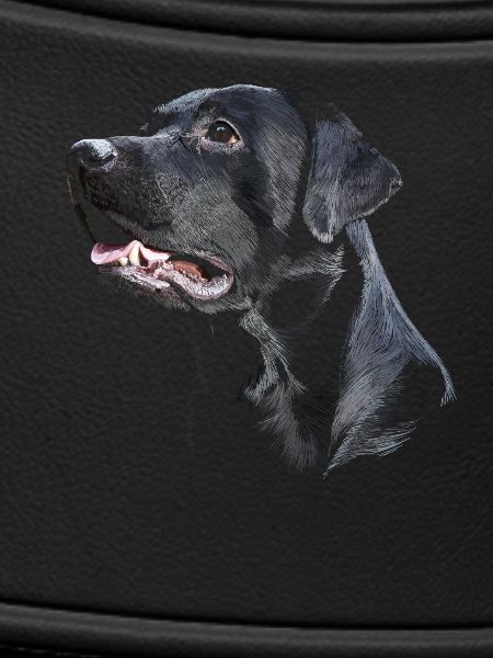 Labrador