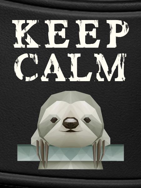 Keep Calm Sloth