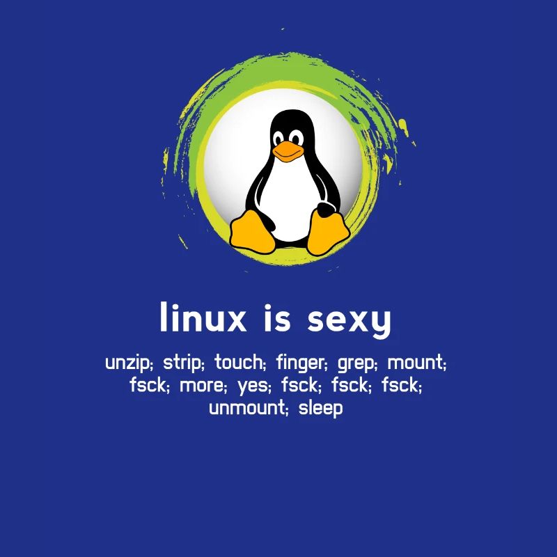 Computer System Penguin Nerd pc inside code admin