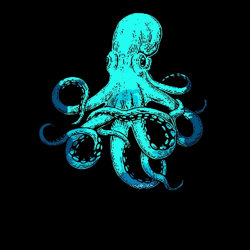 Cuttlefish octopus cuttlefish underwater sea animal