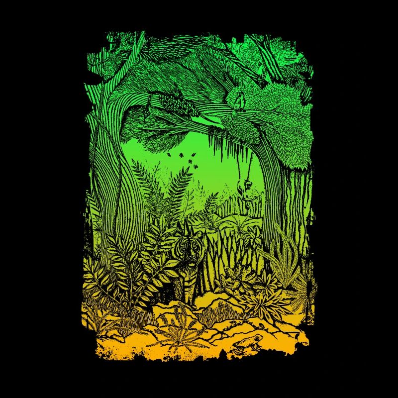 Jungle rainforest conservation amazon