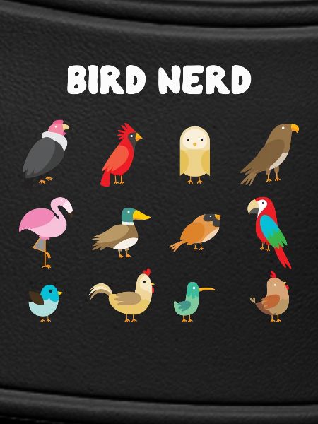 Nerd des oiseaux