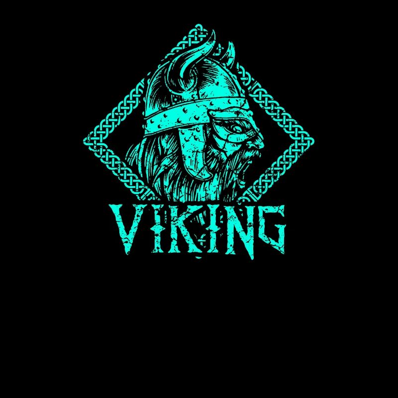 Viking warrior middle ages