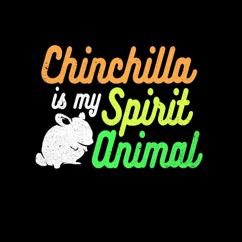 Chinchilla
