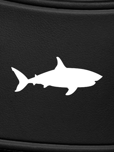 shark