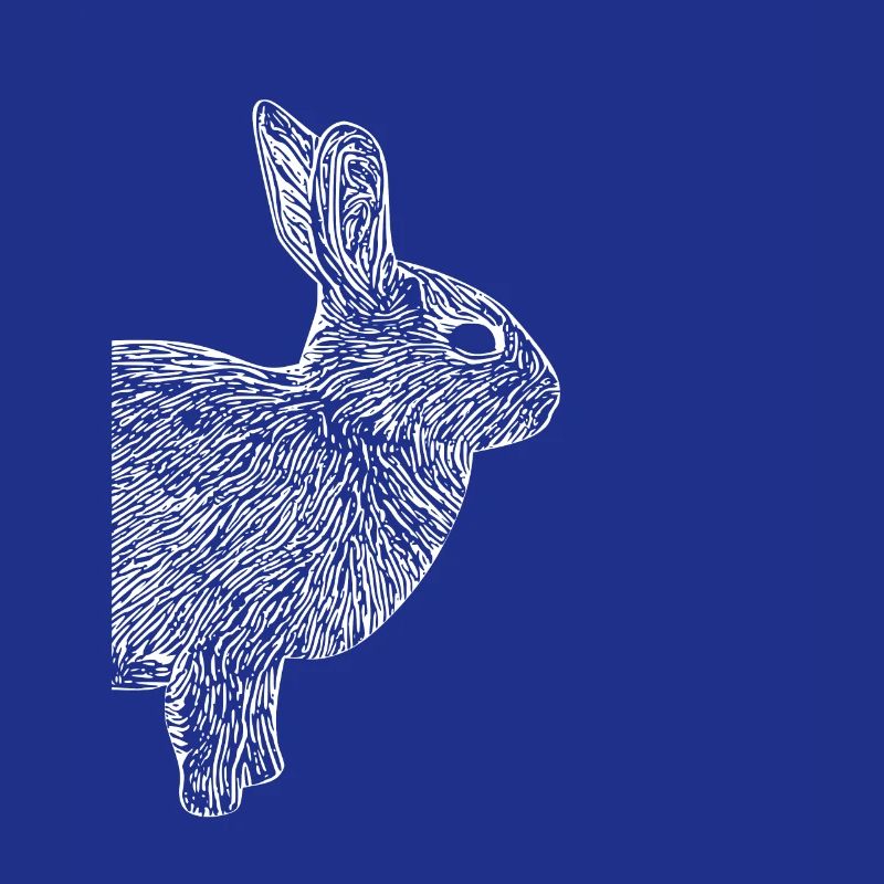 Cute Rabbit Hasi Gift