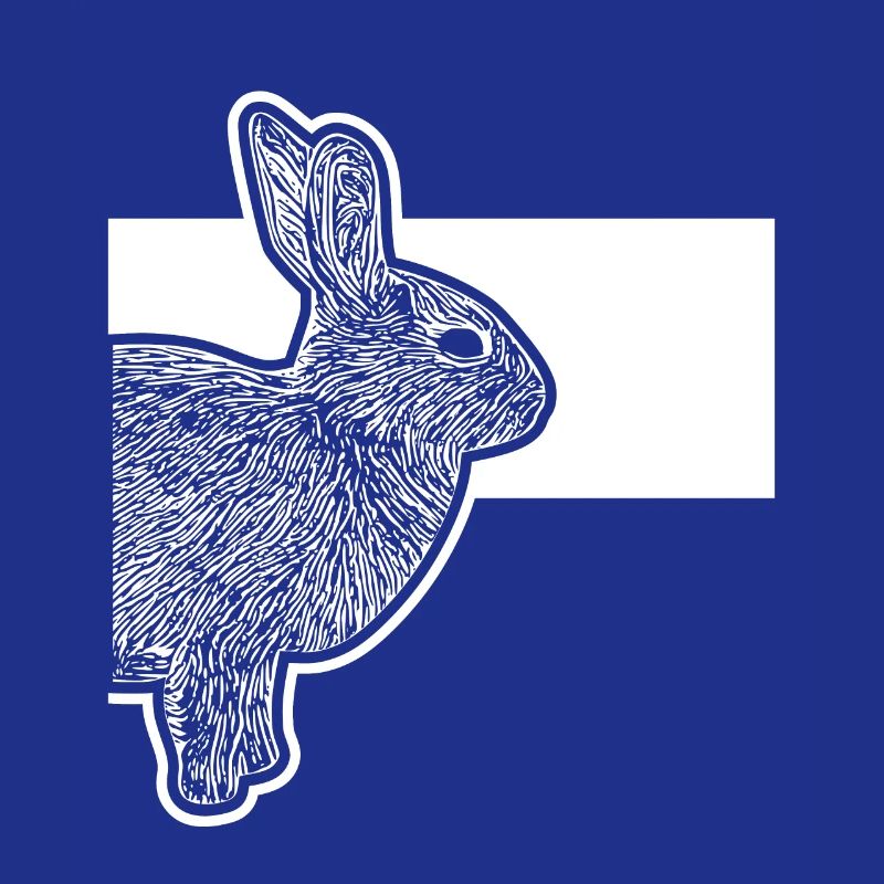 Cute Dwarf Rabbit Rabbit Breeder