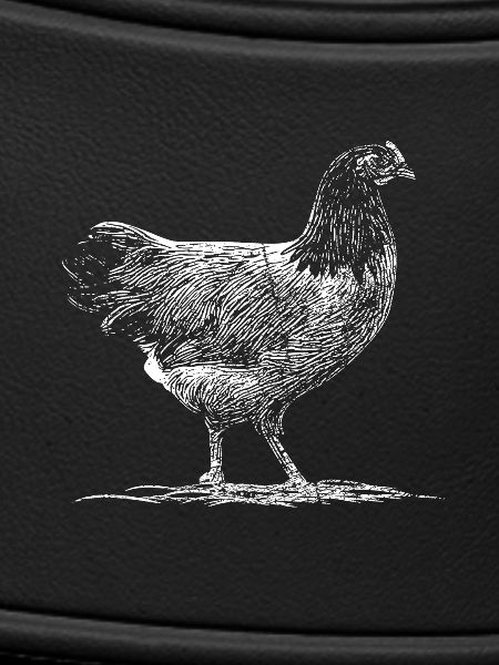 Poulets pré-bourses