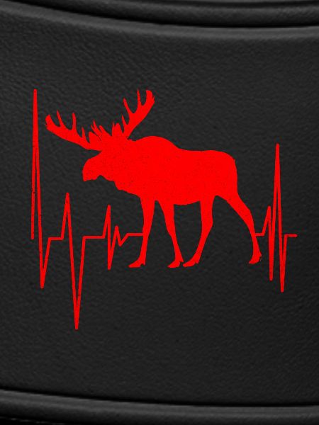 Elk