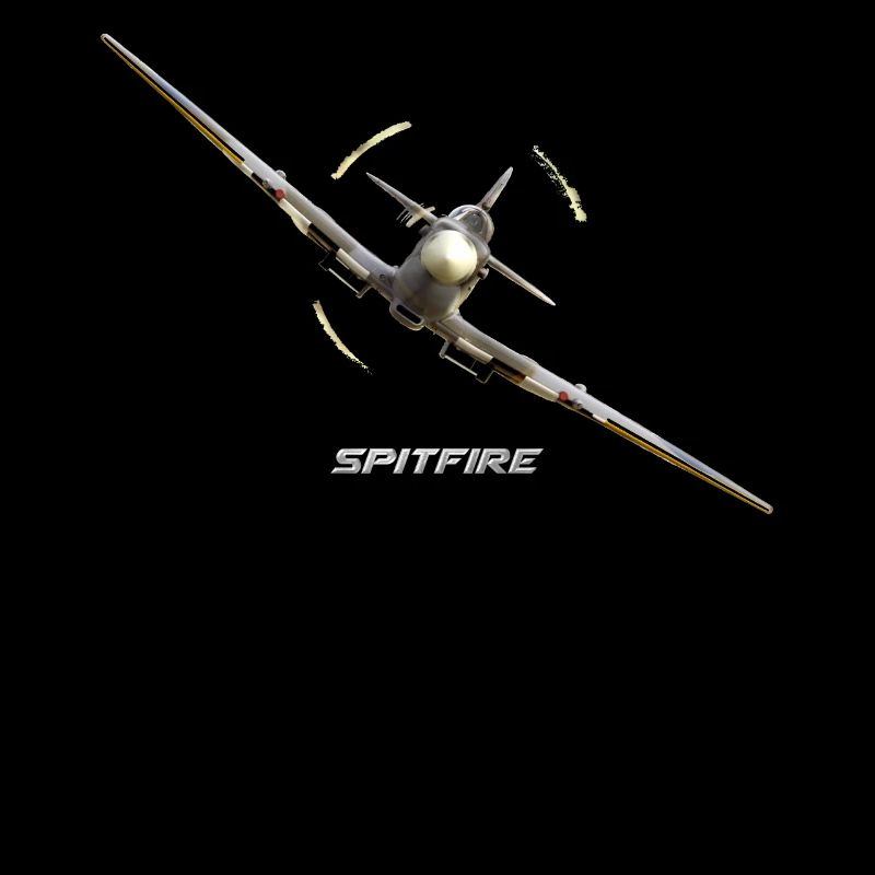 Supermarine Spitfire avion de la bataille d'Angleterre