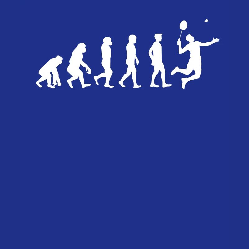 Badminton evolution gift